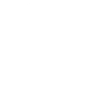 about-logo-bg-shape